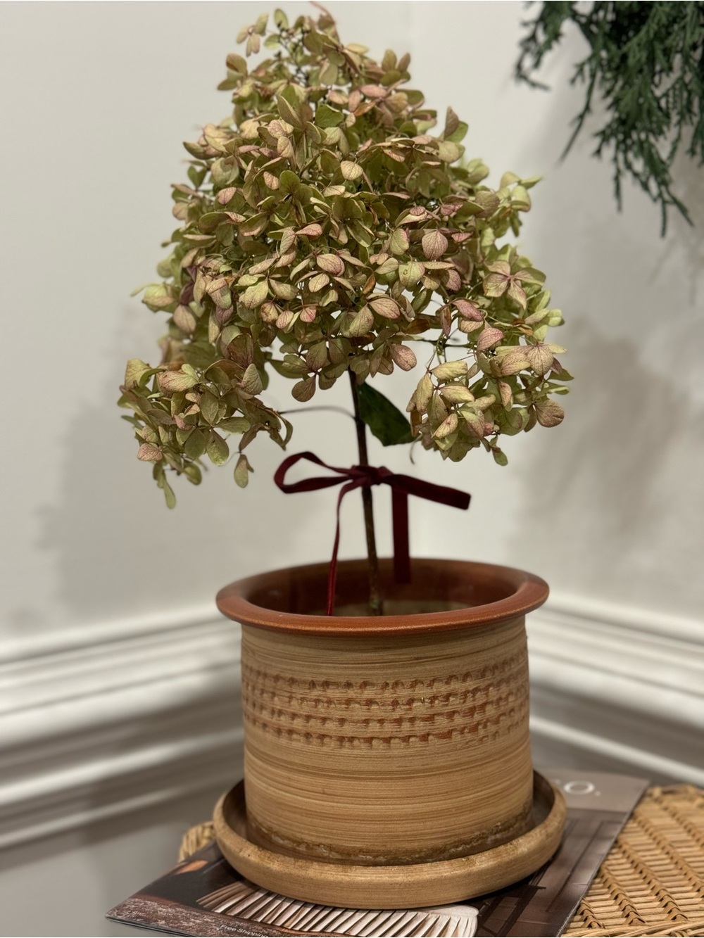 Terracotta Textured Ceramic Planter in Warm Brown 5.5”x7”